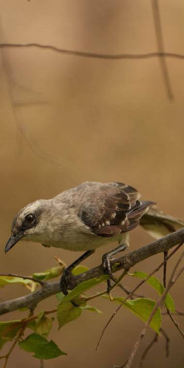 Imagen por Luis Daniel Hernandez